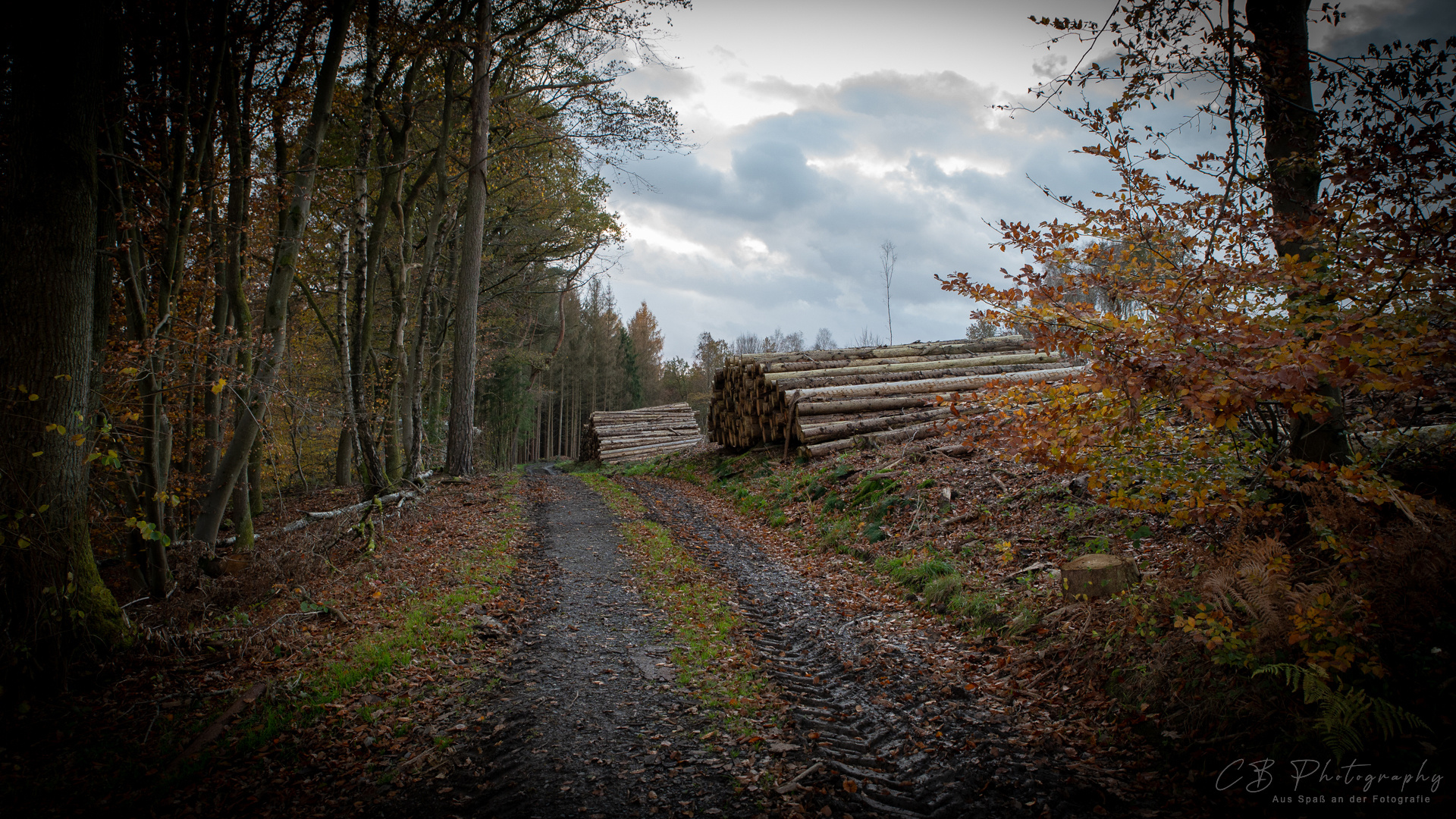 Waldspaziergang