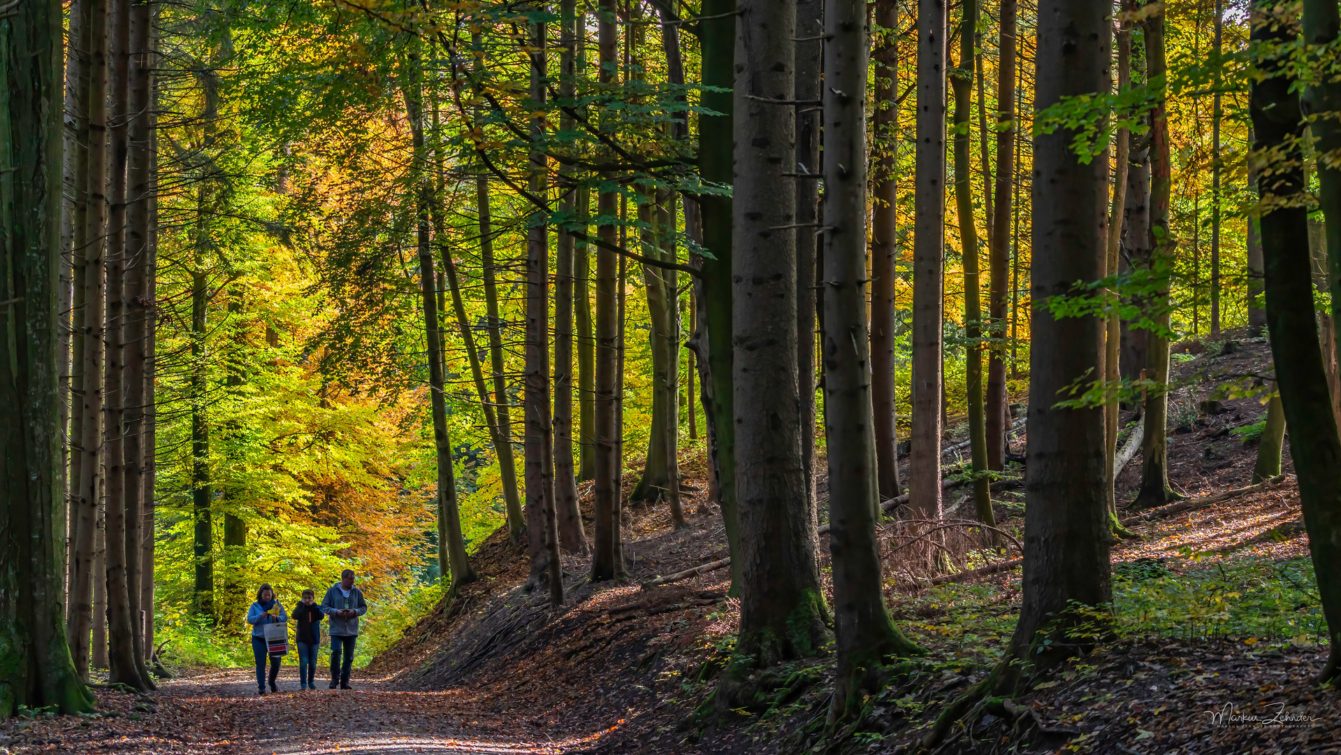 Waldspaziergang