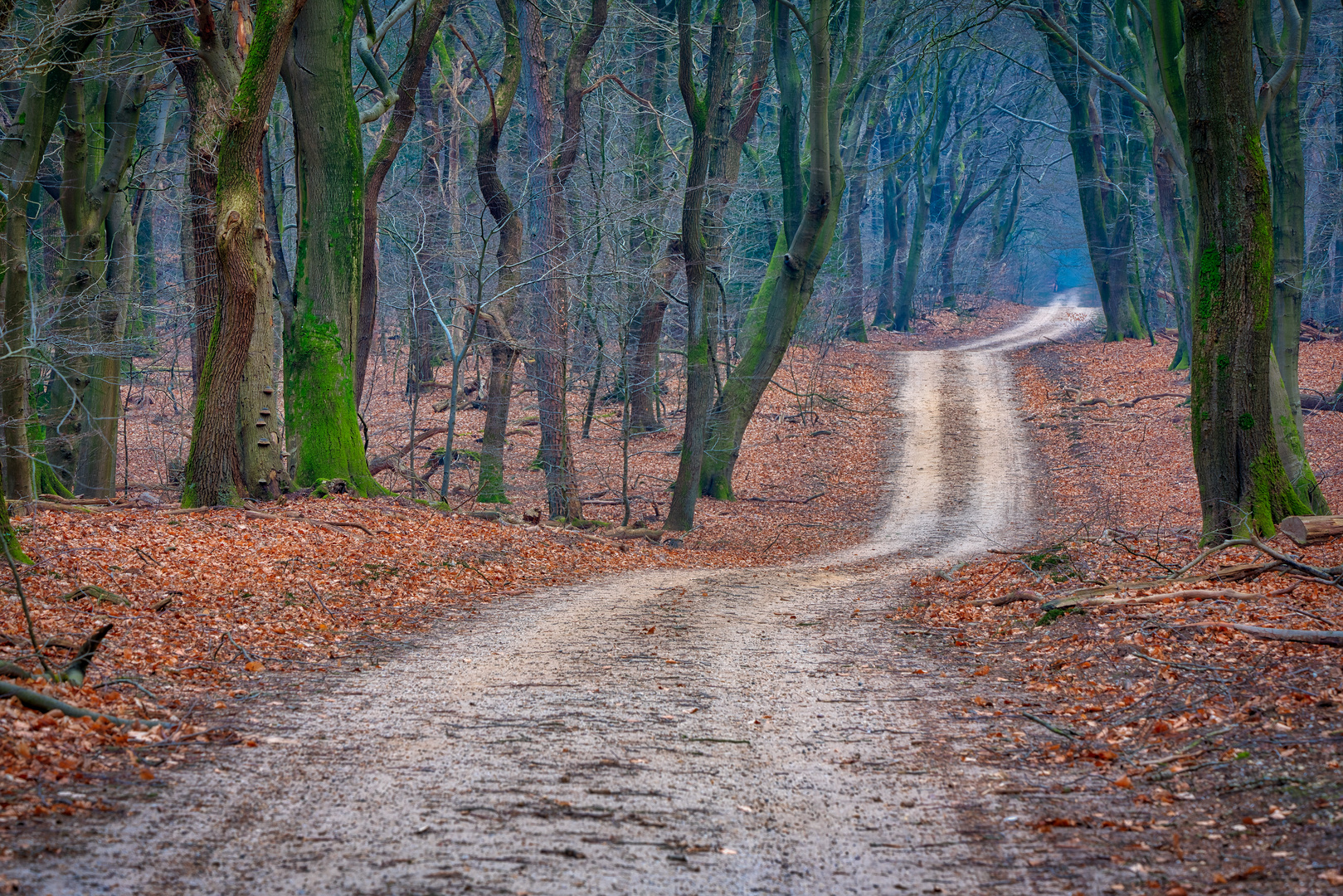 Waldspaziergang