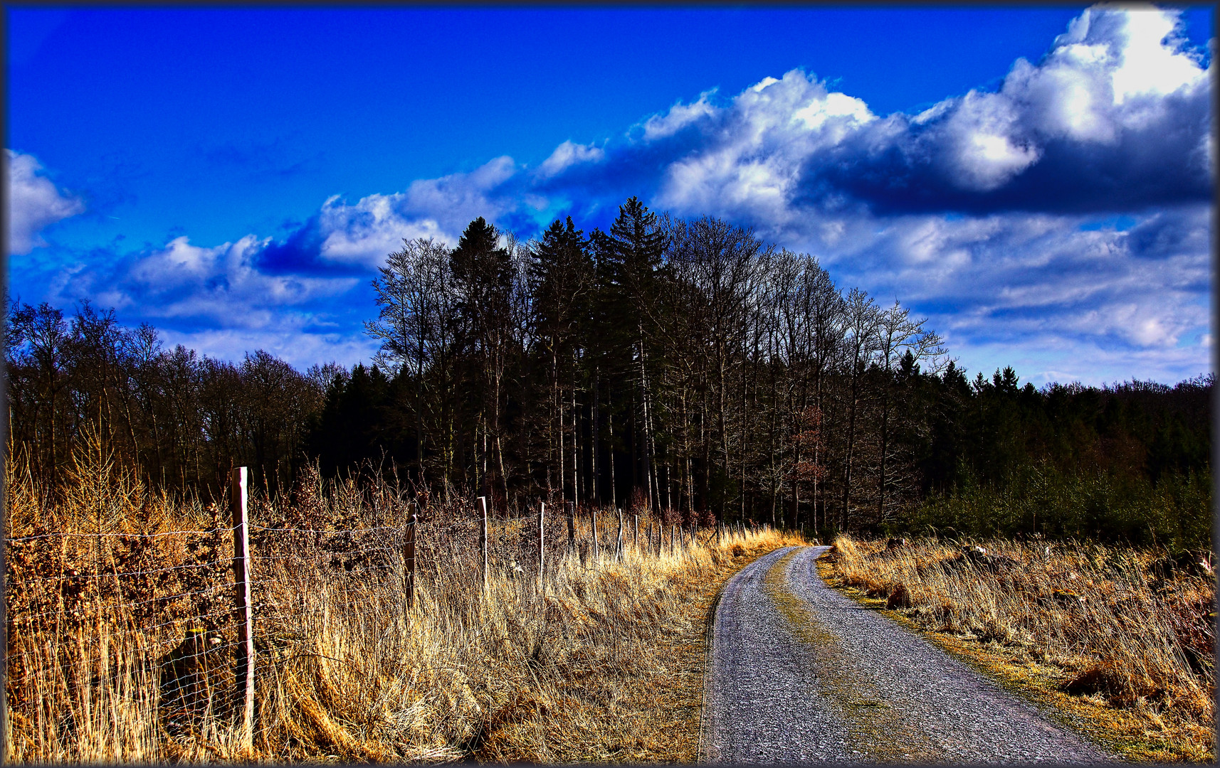 Waldspaziergang