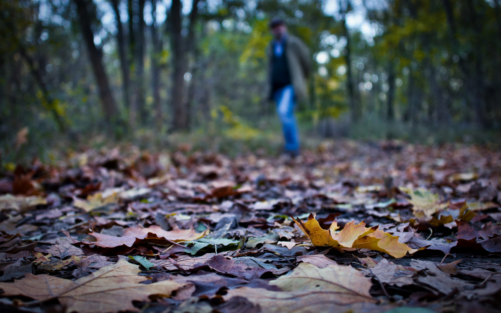 Waldspaziergang