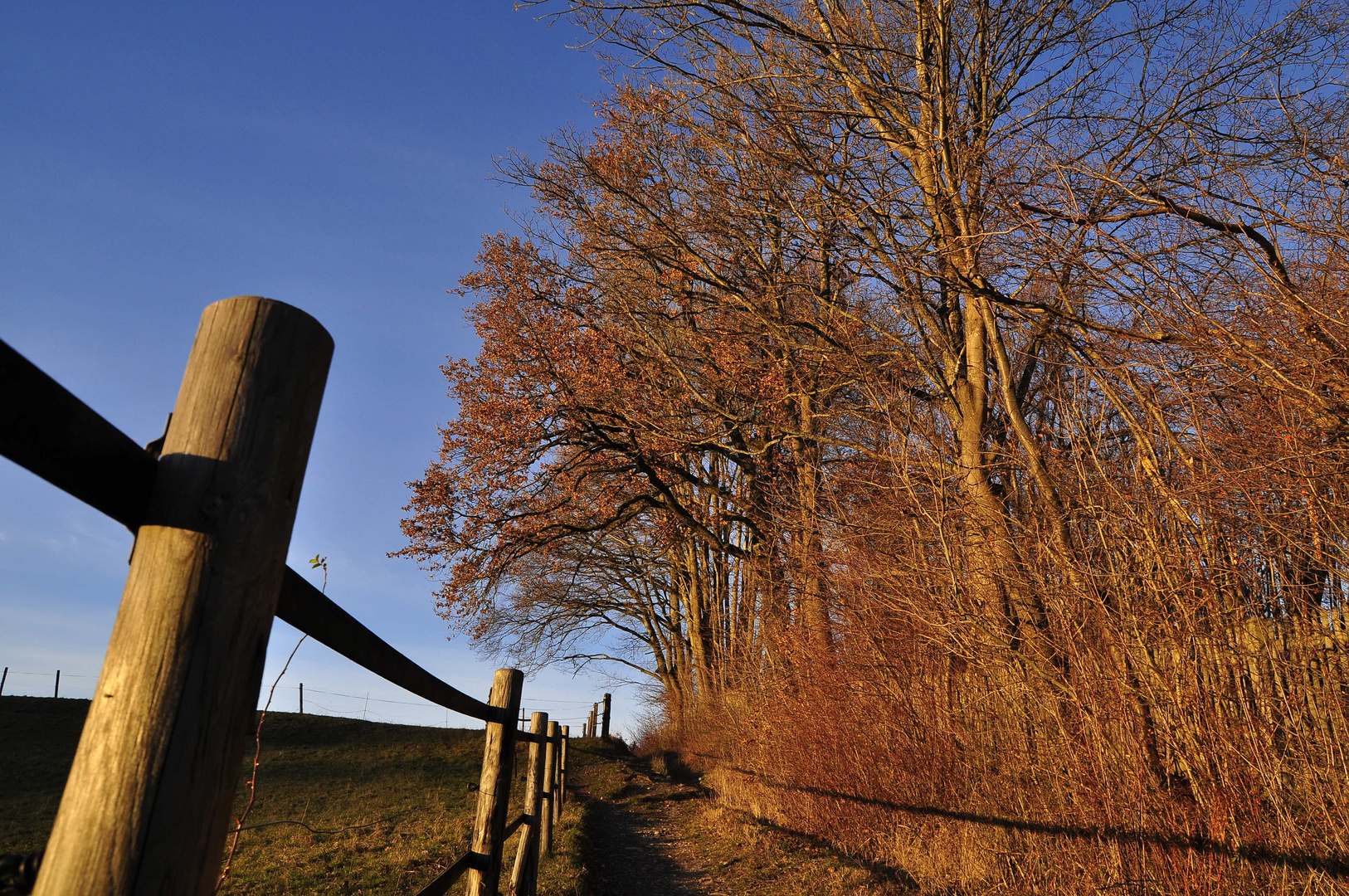 Waldspaziergang