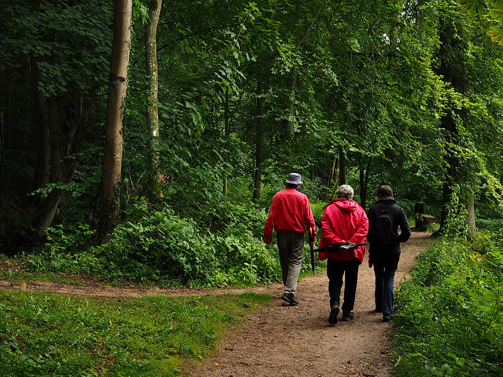 Waldspaziergang