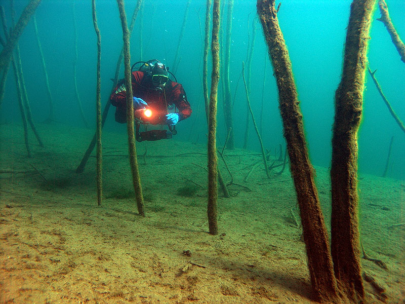 Waldspaziergang der besonderen Art