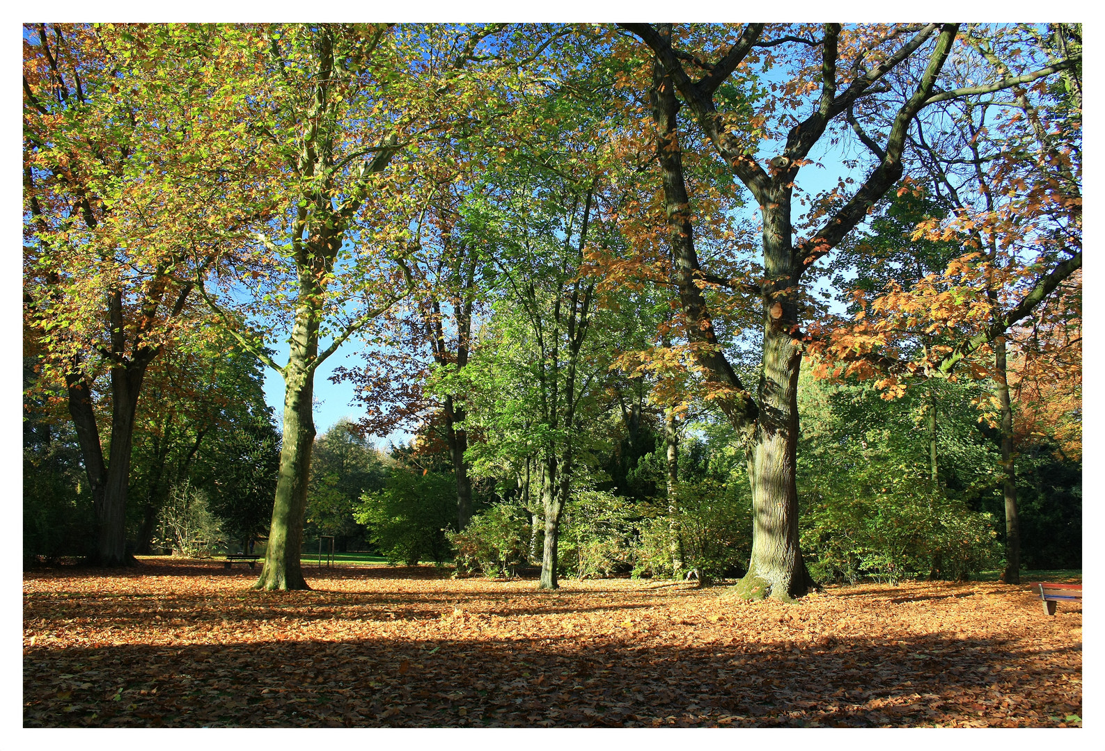 Waldspaziergang