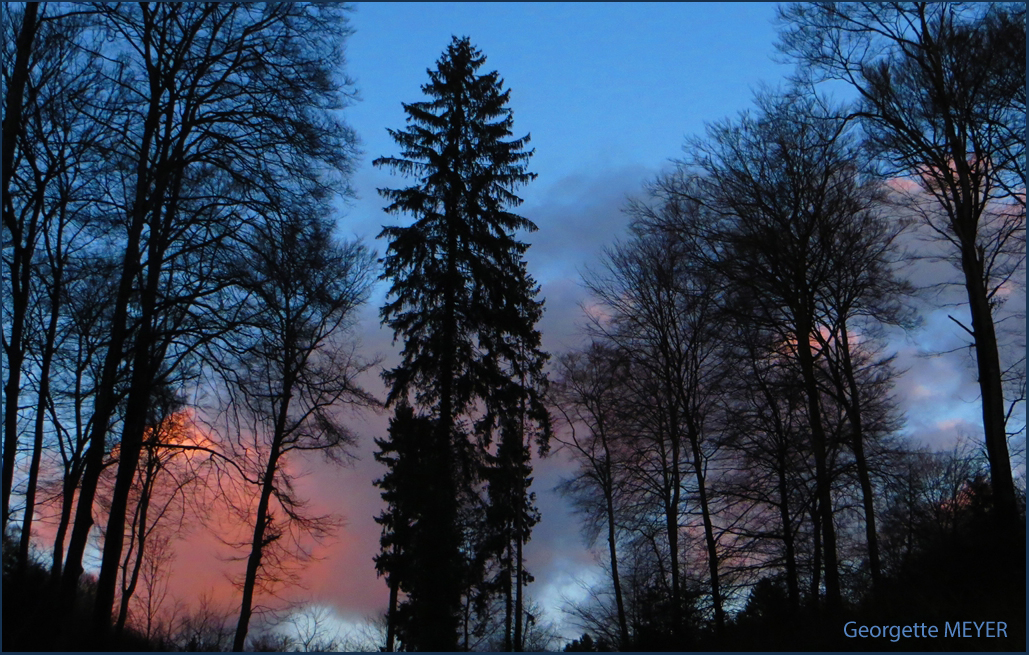 Waldspaziergang