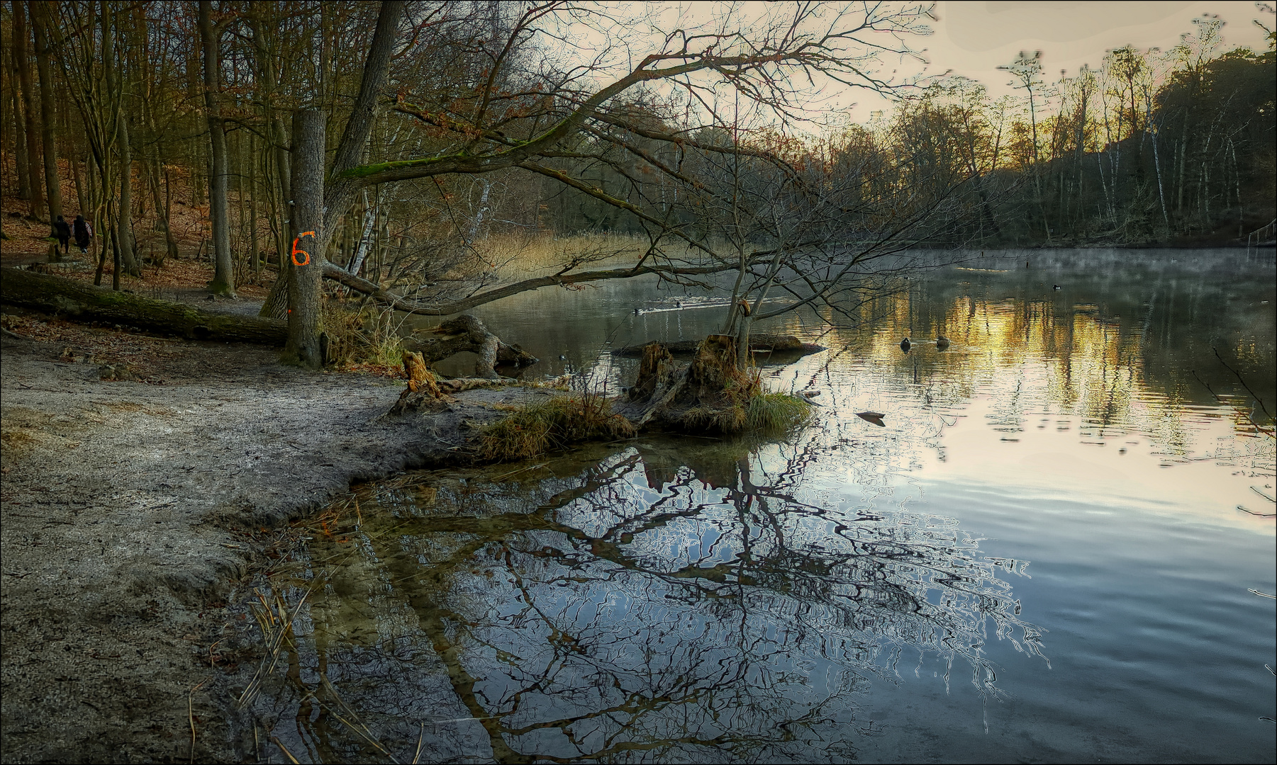 .... Waldspaziergang ....