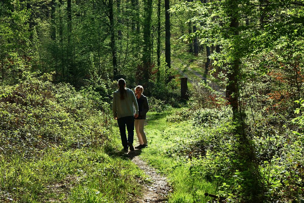 Waldspaziergang Herzog Jäger Pfad