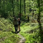 Waldspaziergang Herzog Jäger Pfad