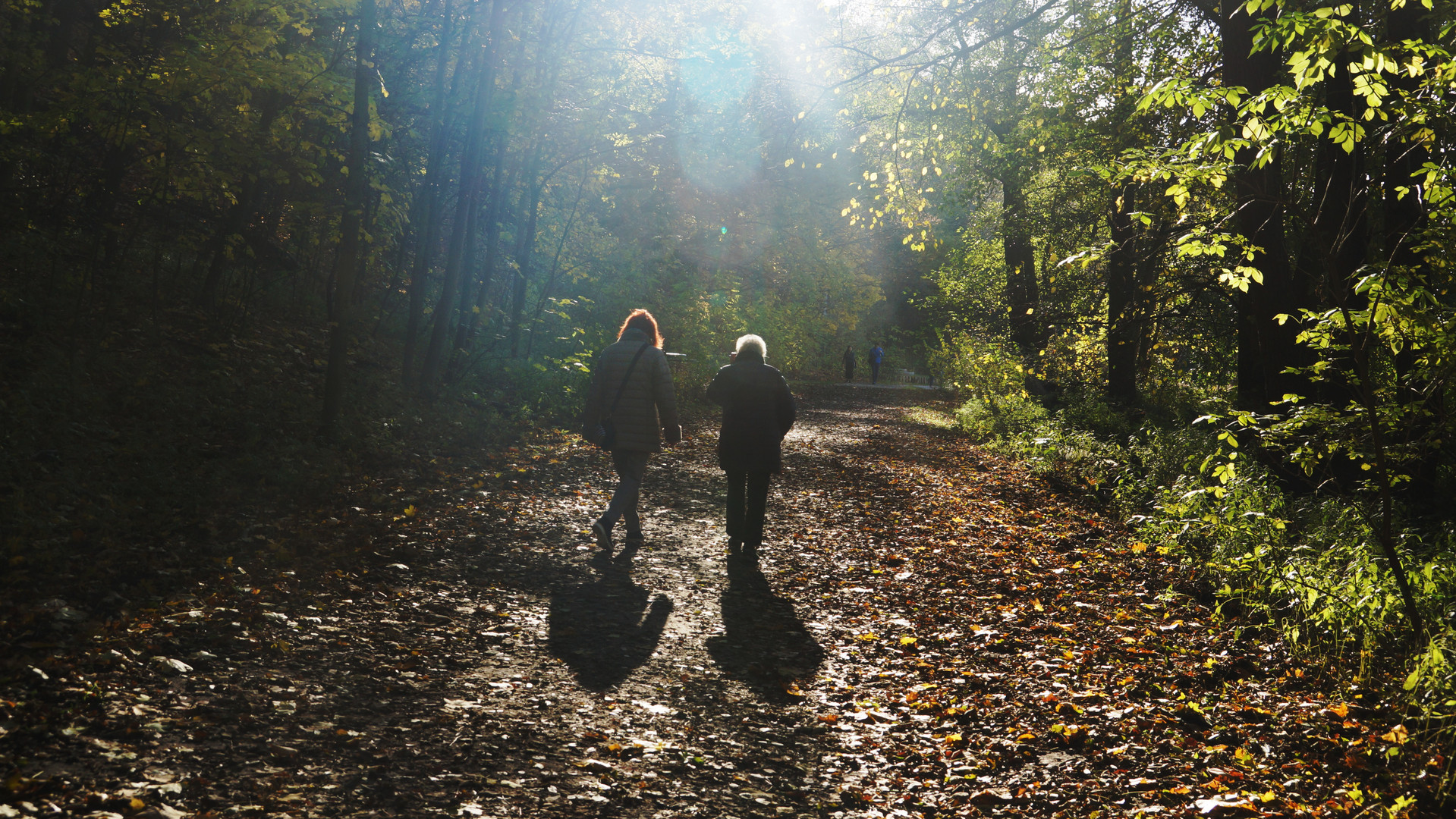 Waldspaziergang im Herbst