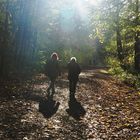 Waldspaziergang im Herbst