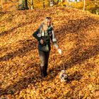 Waldspaziergang im Herbst