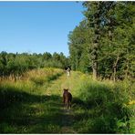 Waldspaziergang im Kreuttal