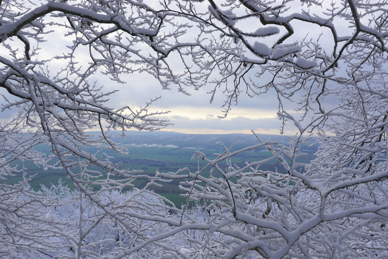 Waldspaziergang im Winterwald