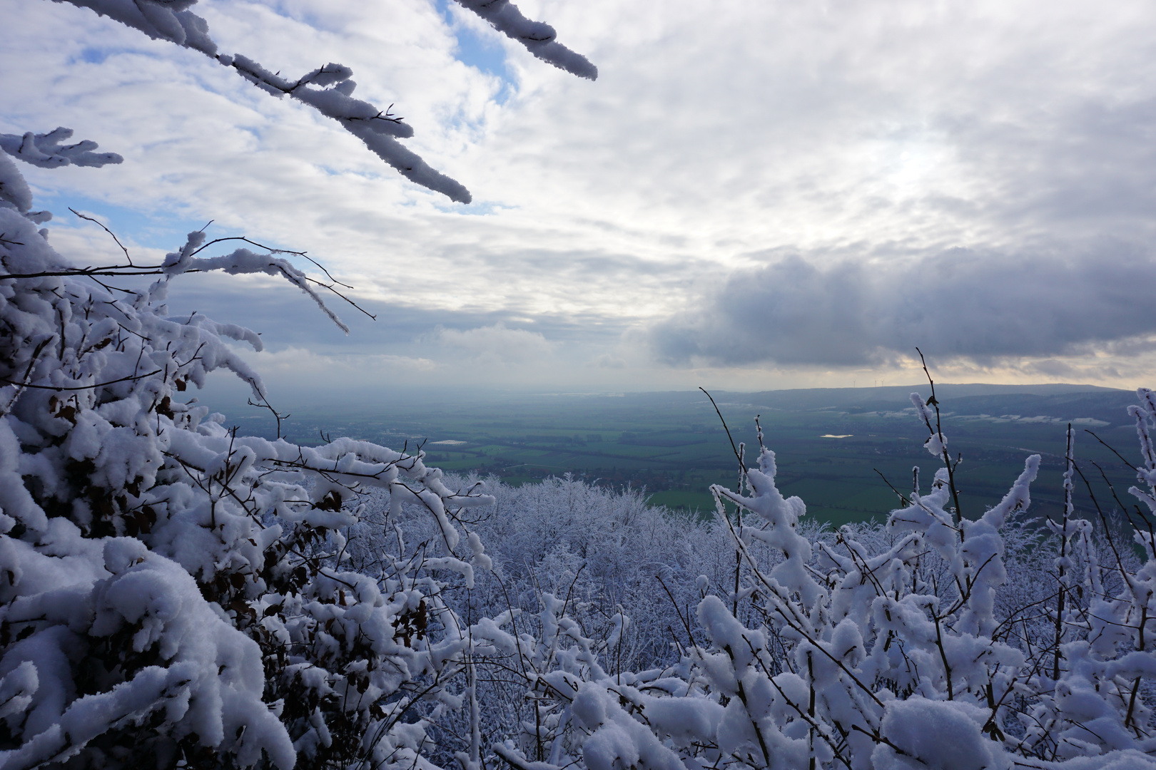 Waldspaziergang im Winterwald