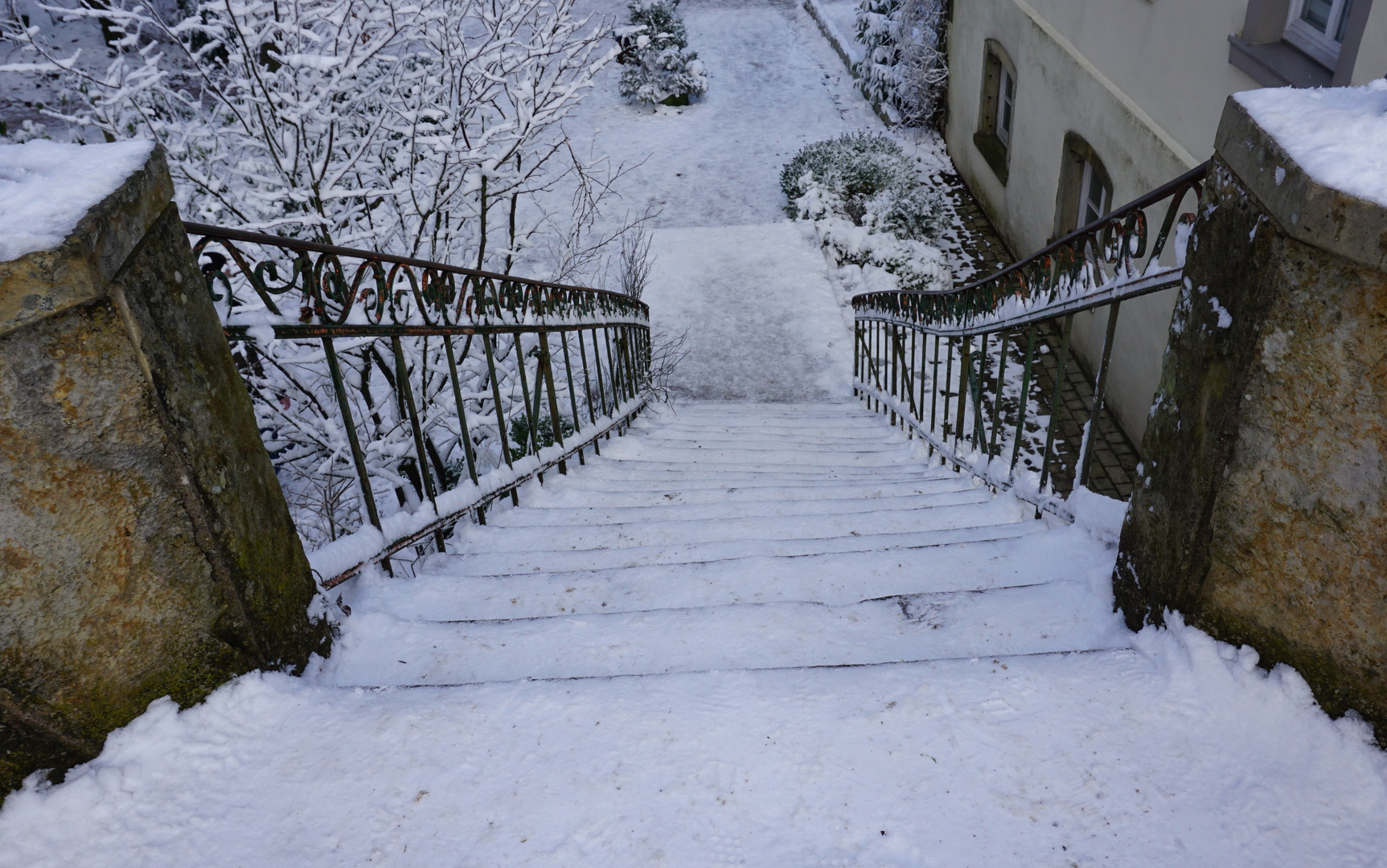 Waldspaziergang im Winterwald