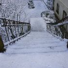 Waldspaziergang im Winterwald