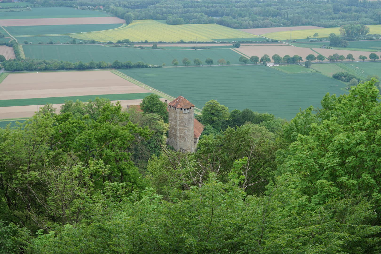 Waldspaziergang Impressionen