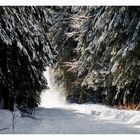 Waldspaziergang in Freudenstadt - Leise rieselt der Schnee