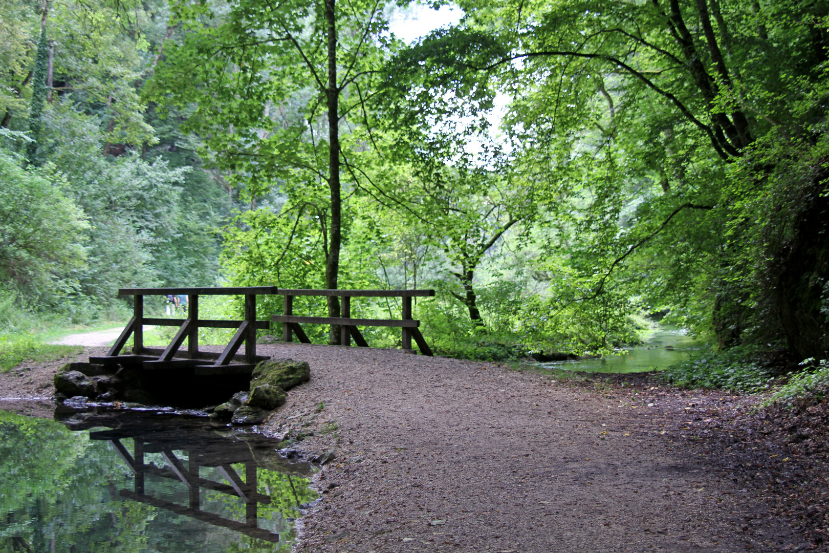 Waldspaziergang in Hayingen