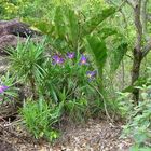 waldspaziergang in Lencois