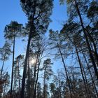 Waldspaziergang in Schimborn