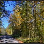 Waldspaziergang mit Trautel