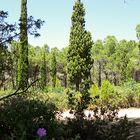 Waldspaziergang / Passeggiata nel bosco (3)