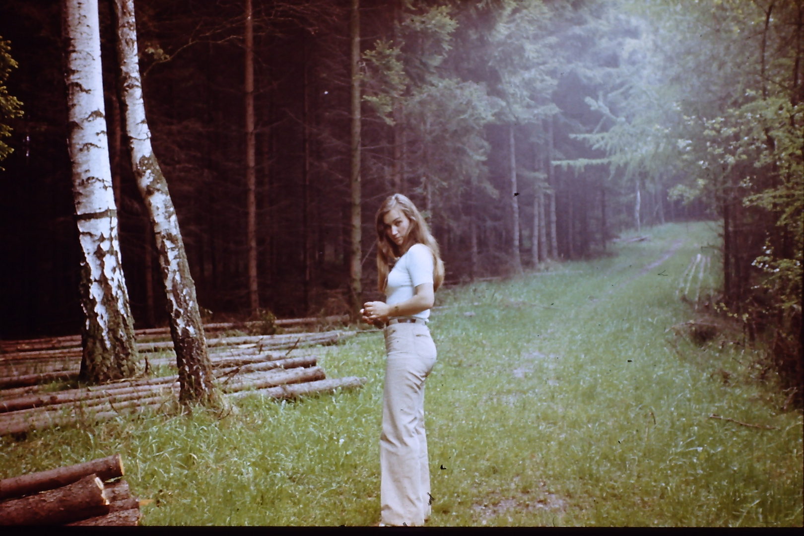 Waldspaziergang vor 40 Jahren