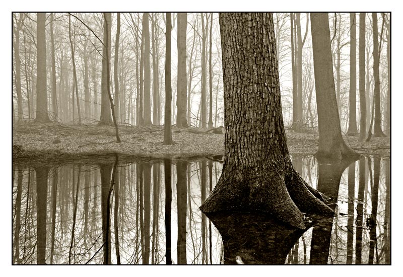 Waldspiegelsee