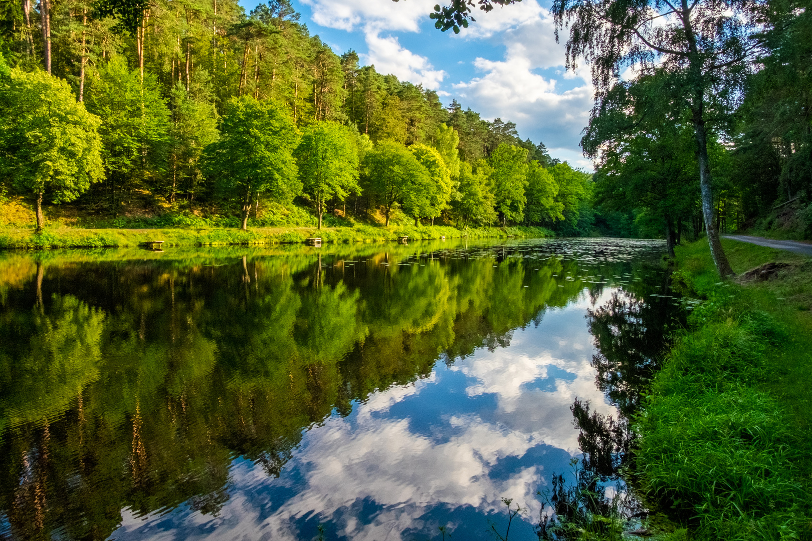 Waldspiegelung am Teich