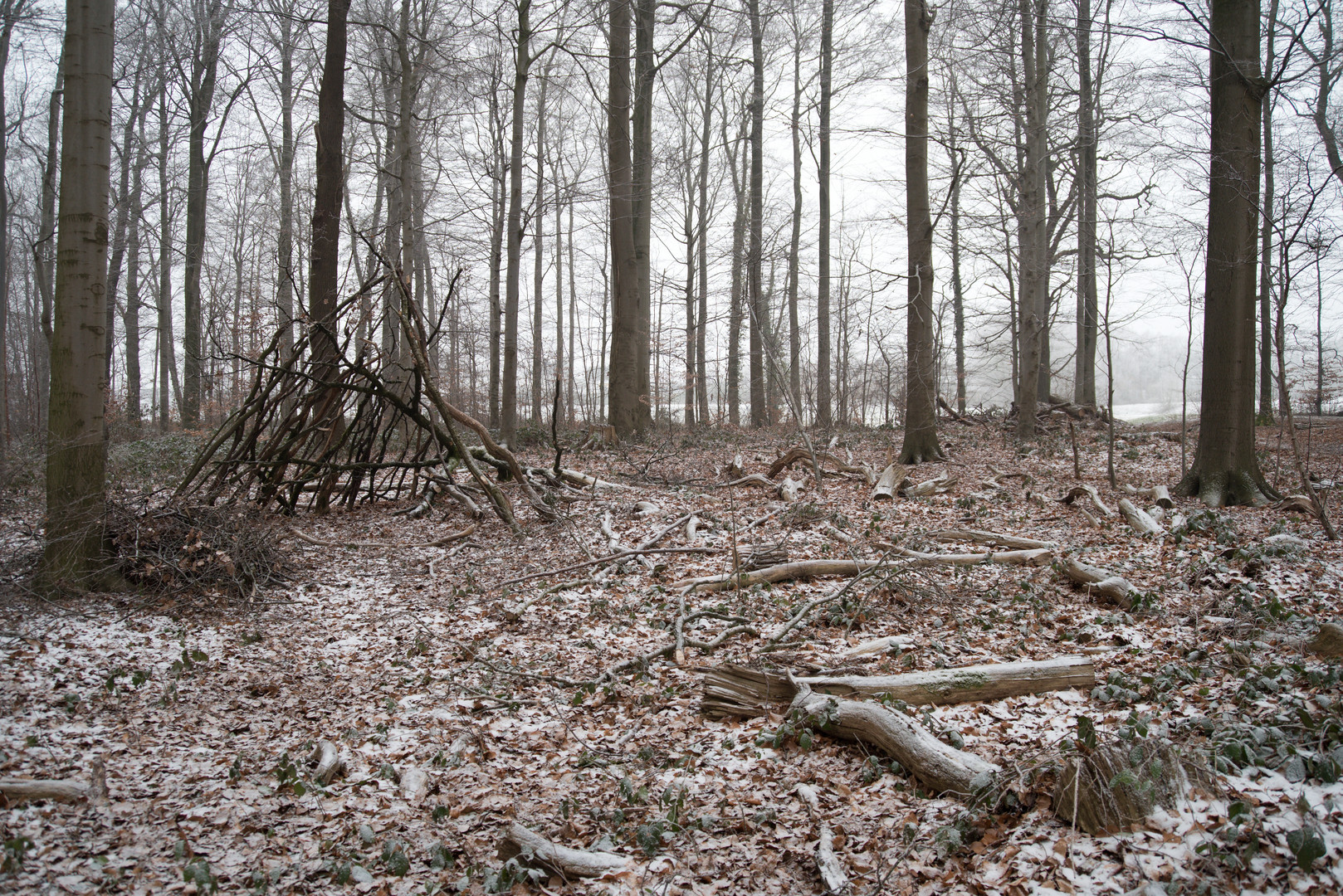 Waldspielplatz