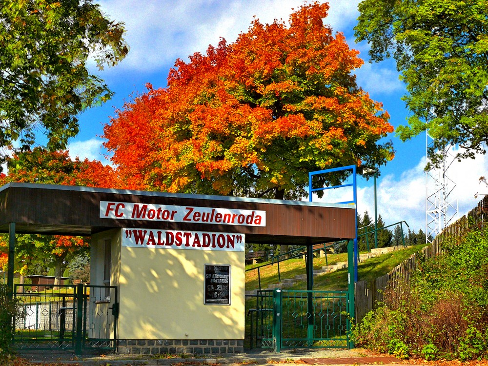 Waldstadion Zeulenroda