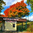 Waldstadion Zeulenroda