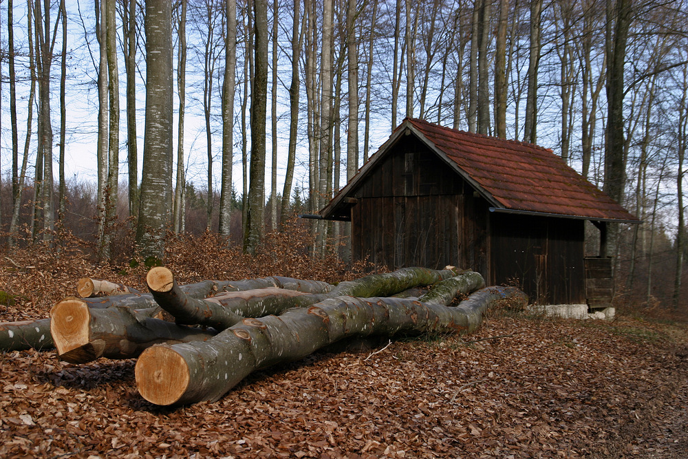 " Waldstadl "