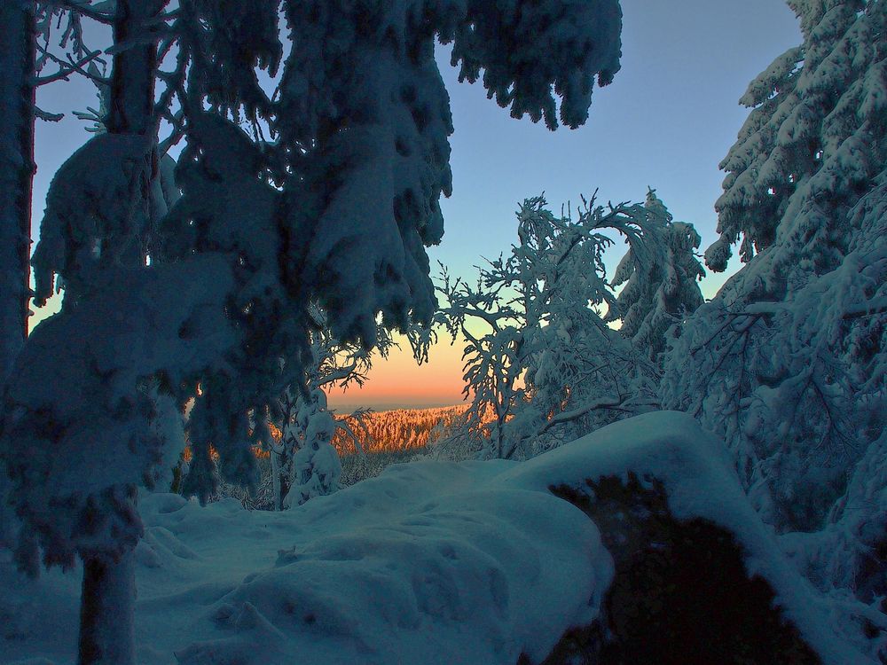 Waldstein-Abend