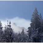 Waldstein im Nebel