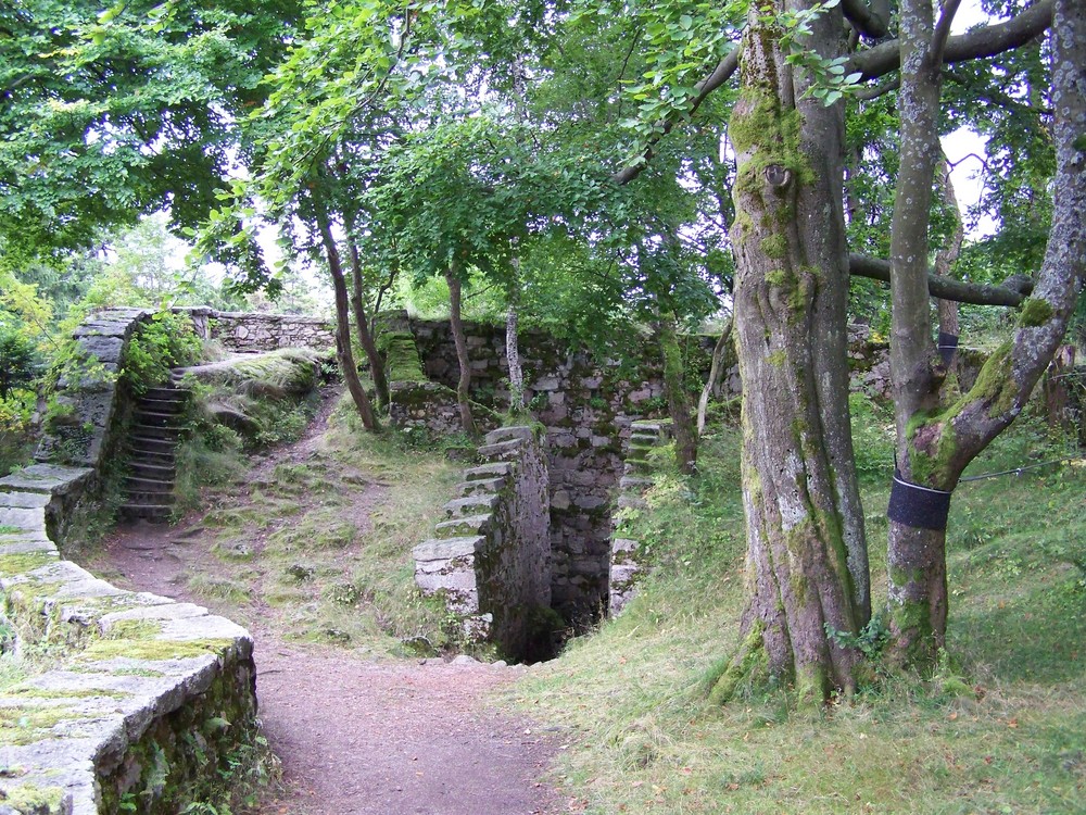 Waldstein Ruine zell 03