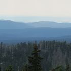 Waldsterben am Brocken_k2