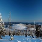 Waldsterben am Lusen