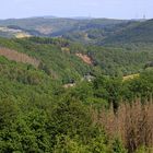 Waldsterben in Deutschland 3