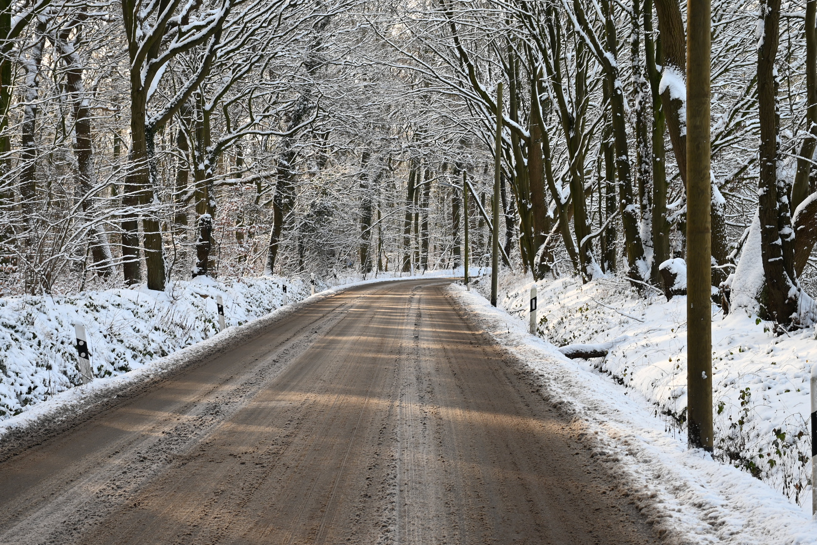 Waldstrasse