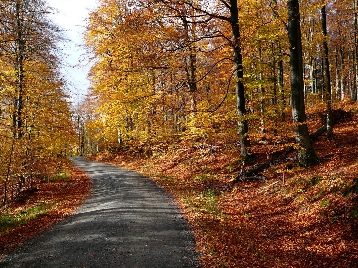 Waldstraße