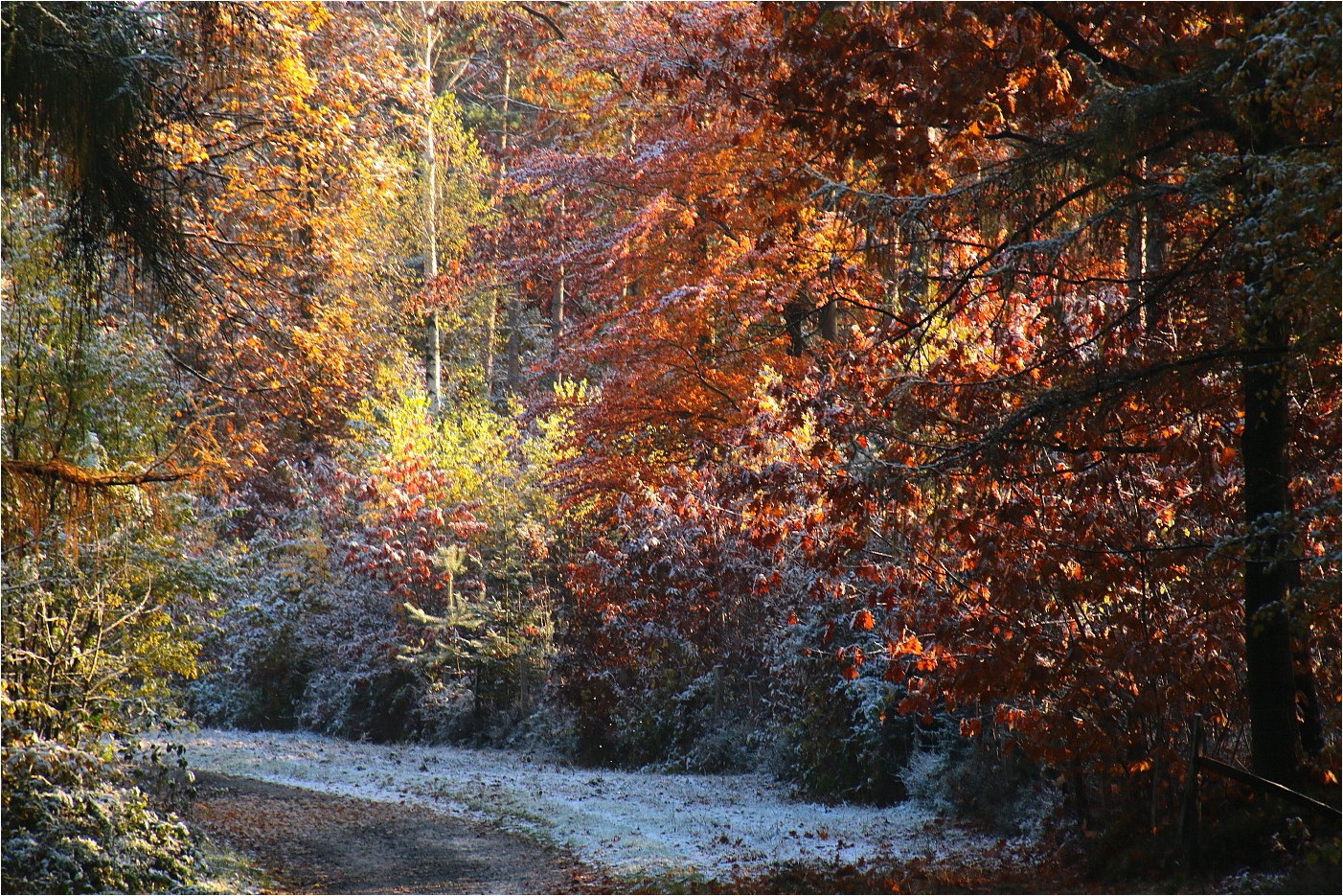 Waldstraße