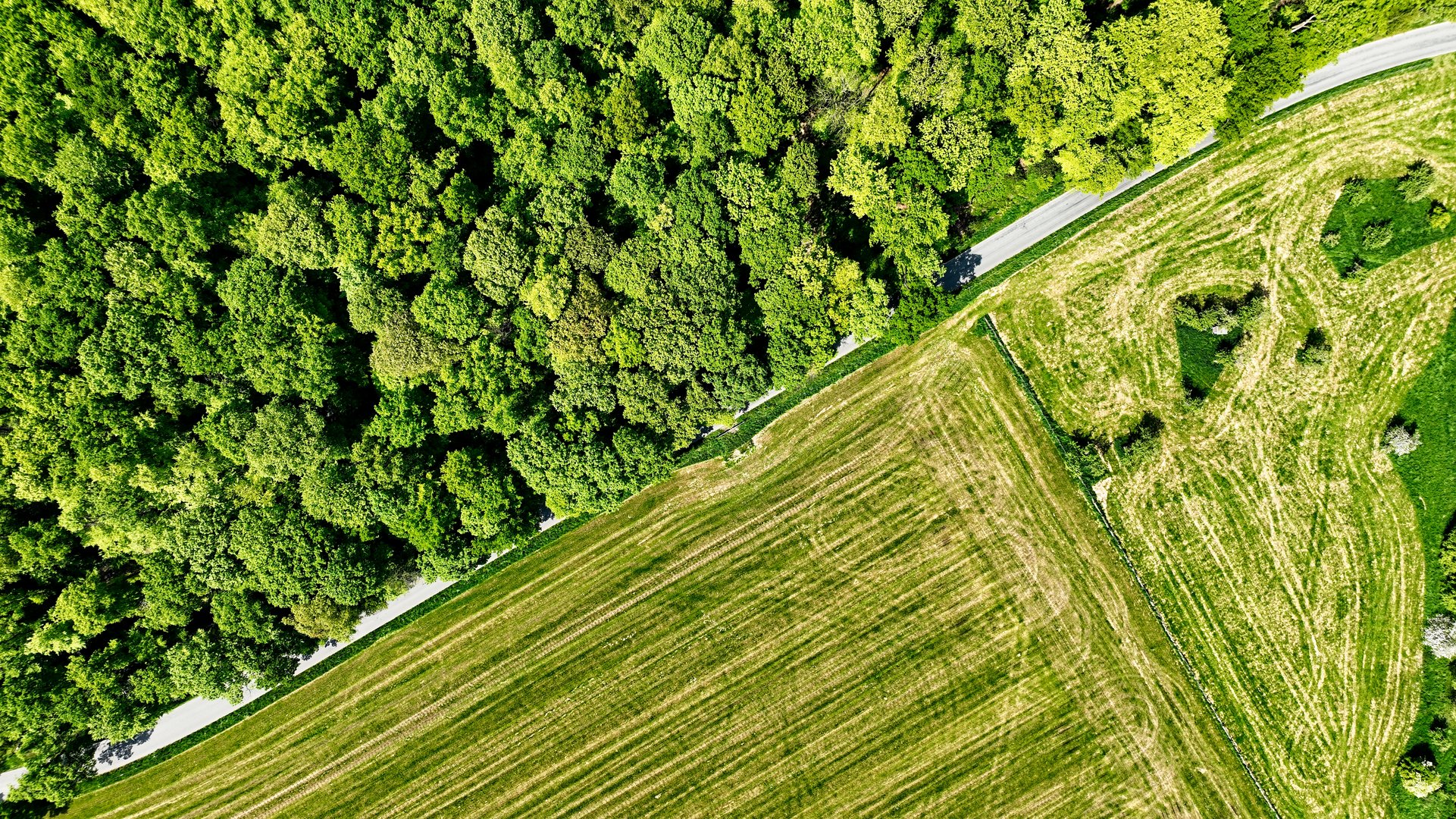 Wald.Straße.Feld