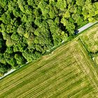 Wald.Straße.Feld