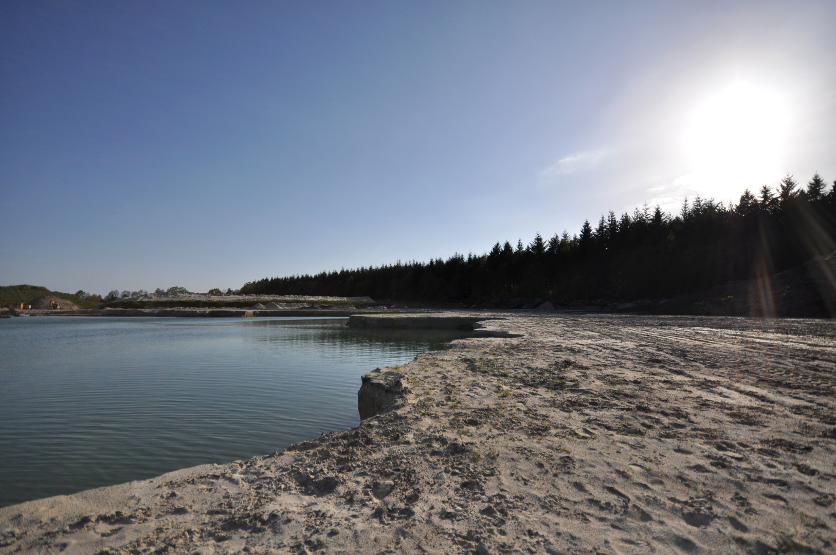 Waldstück am Baggersee mit greller Sonne