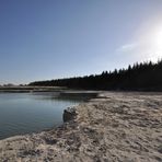 Waldstück am Baggersee mit greller Sonne