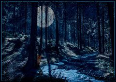 Waldszene_Vollmond