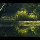 Waldteich-Idylle - oder: ..."anti-zyklisch" ist, wenn man...